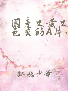 国产又黄又大又色爽的A片小说