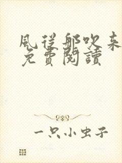 风从那吹来小说免费阅读