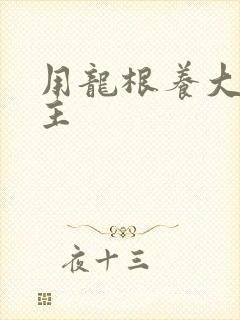 用龙根养大的公主