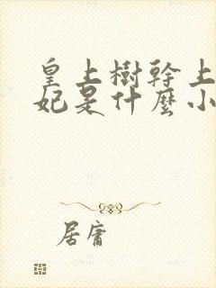 皇上树干上太子妃是什么小说