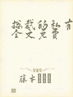 总裁的私有宝贝全文免费