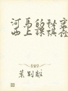 河马的秘密夹东西上课祺鑫