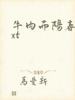 牛肉面阳春面txt