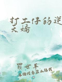 打工仔的逆袭楚天娇
