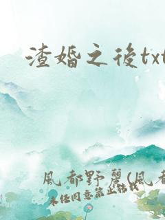 渣婚之后txt