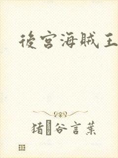后宫海贼王