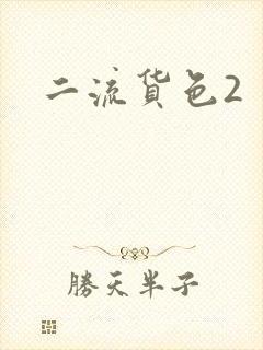 二流货色2