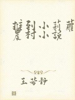 推到小莉萝稚嫩农村小说