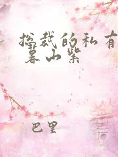 总裁的私有宝贝 暮山紫