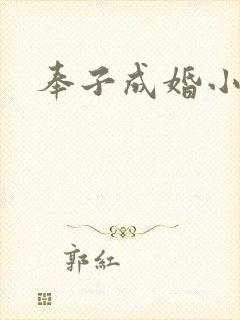 奉子成婚小说