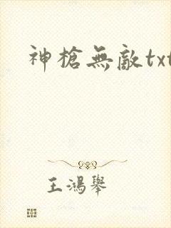 神枪无敌txt