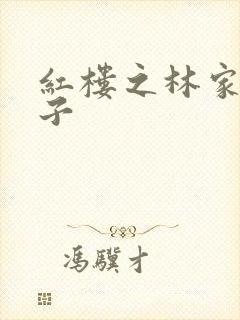 红楼之林家庶长子