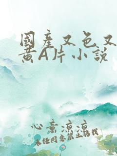 国产又色又爽又黄A片小说