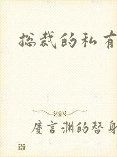 总裁的私有宝贝