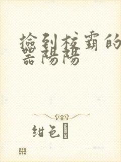 捡到校霸的遥控器阳阳