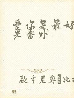 爱你是最好的时光番外