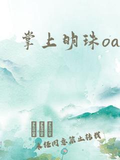 掌上明珠oa