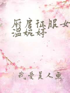 厨房征服女市长温婉婷