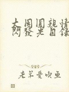 大团圆亲情会闪闪发光目录