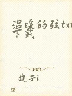 温暖的弦txt下载