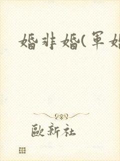 婚非婚(军婚)