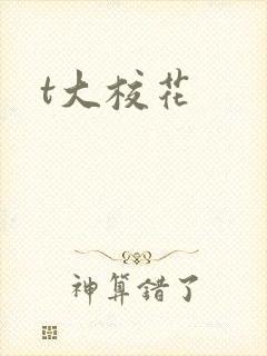 t大校花