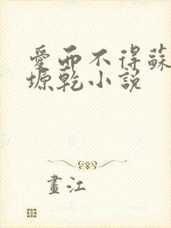 爱而不得苏路顾塬乾小说