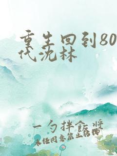 重生回到80年代沈林