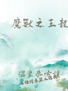 魔兽之王龙傲天