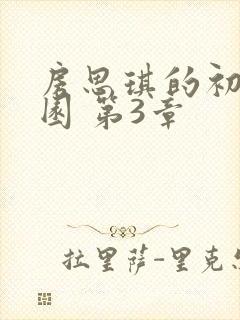 房思琪的初恋乐园 第3章