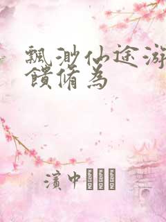 飘渺仙途游戏反馈修为