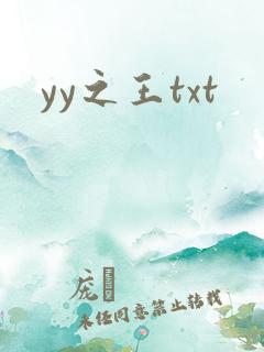 yy之王txt