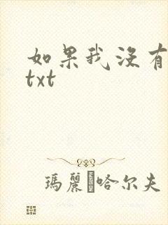 如果我没有爱过txt