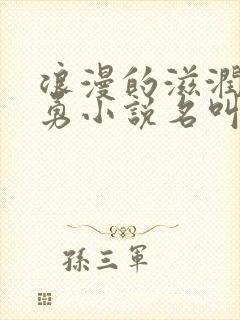 浪漫的滋润刘大勇小说名叫什么?