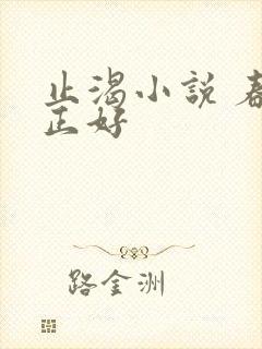 止渴小说 春光正好