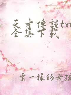 天才传说txt全集下载