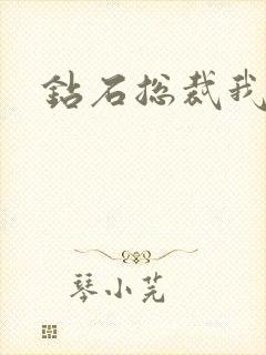 钻石总裁我已婚