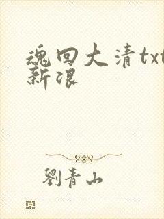 魂回大清txt新浪