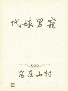 代嫁男宠