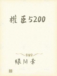 权臣5200