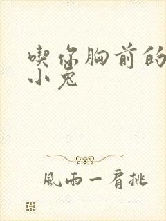 吃你胸前的两只小兔