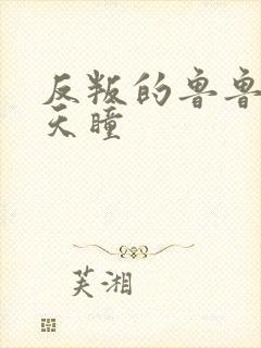 反叛的鲁鲁修之天瞳