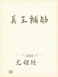 真王辅助