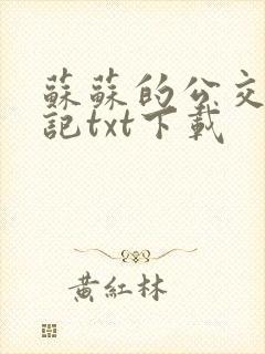 苏苏的公交车日记txt下载