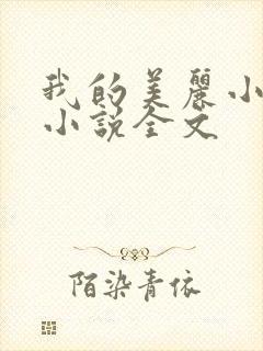 我的美丽小后妈小说全文