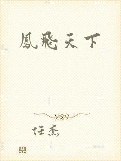 凤飞天下