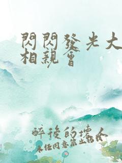 闪闪发光大团圆相亲会