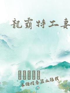 龙霸特工妻