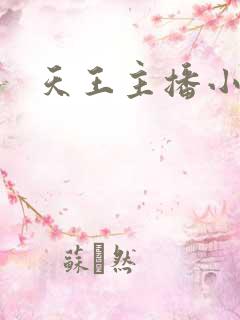 天王主播小说
