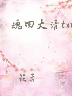 魂回大清txt